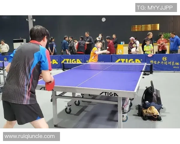 乒乓球运动的发展历程与技术创新对全球体育文化的深远影响