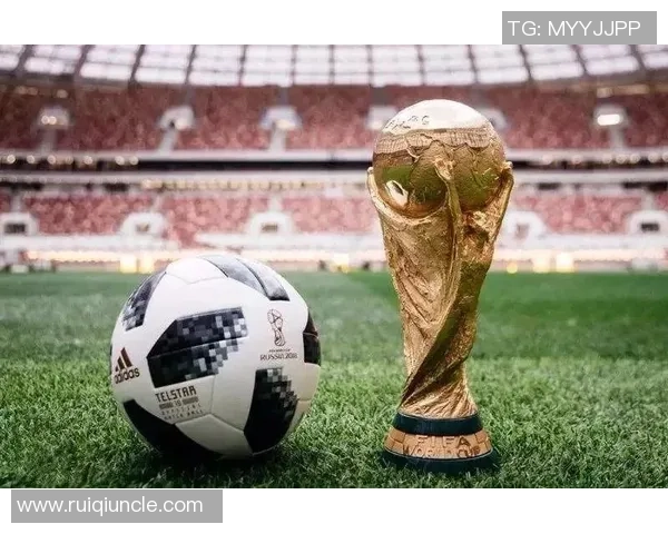 全面解析世界杯赛场精彩瞬间与背后故事深度观察趋势脉络全景探讨