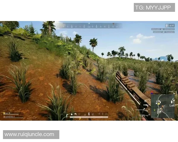 四位愤怒的男人在绝地求生中的生死对决与心灵较量 四位愤怒的男人在绝地求生中的生死对决与心灵较量