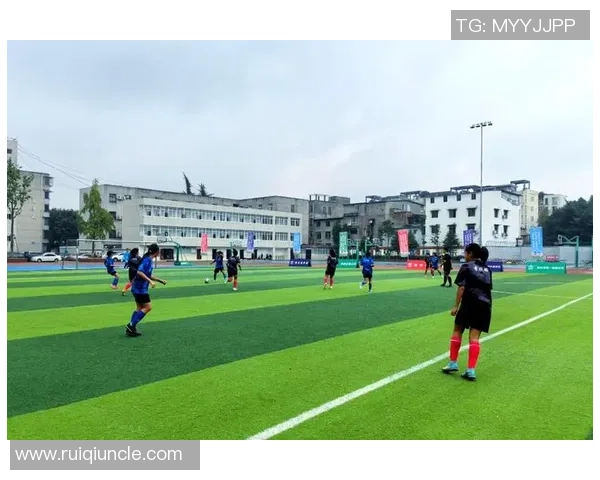 成都蓉城崛起新势力探索西南足球文化与城市精神融合发展之路 成都蓉城崛起新势力探索西南足球文化与城市精神融合发展之路