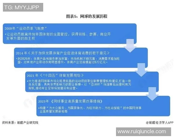 探秘网球竞技魅力与全球运动文化融合发展前景全景深度解析趋势研