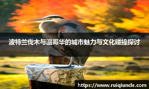 南宫33